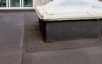 disadvantages of Gegin flat roofs